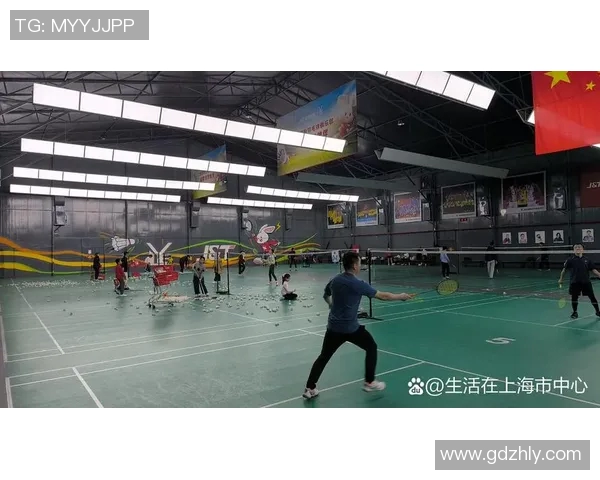 赛后分析:上海羽毛球队与杭州羽毛球队的战术意识与团队协作探讨